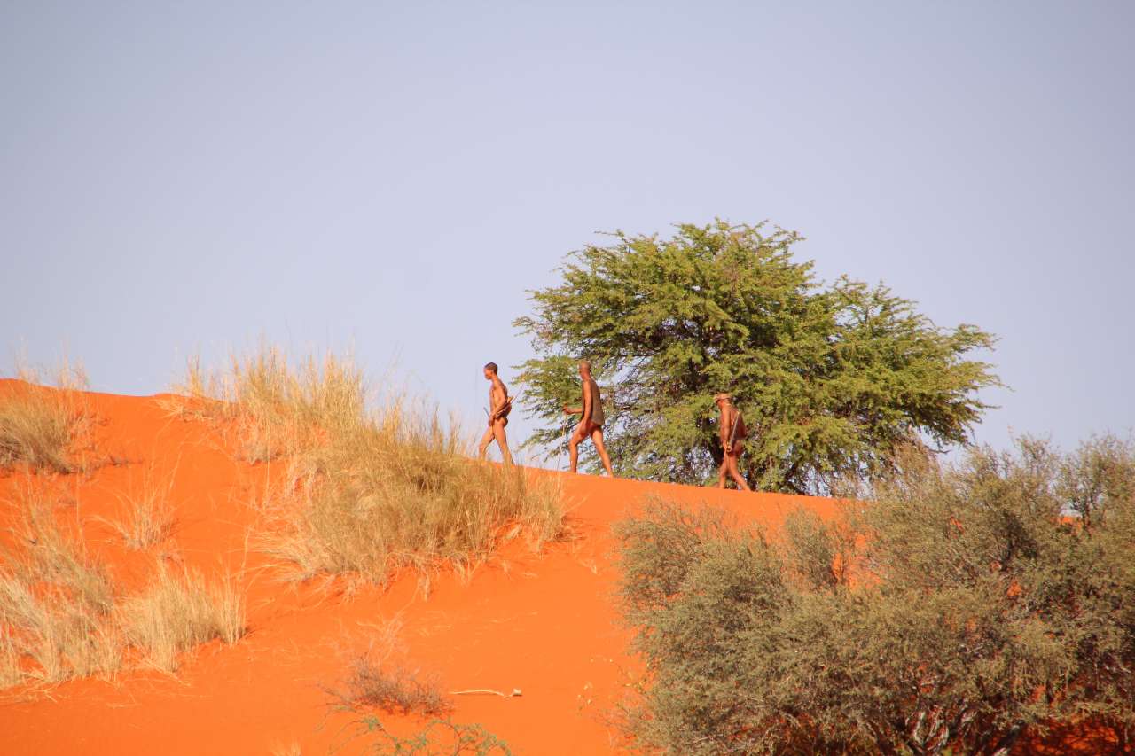 Reiten Reitsafari Safari Landschaft Kalahari