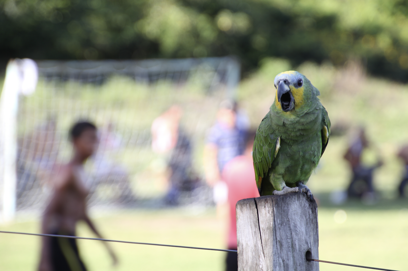 Die Region rund um Canaã dos Carajás in Pará, Brasilien