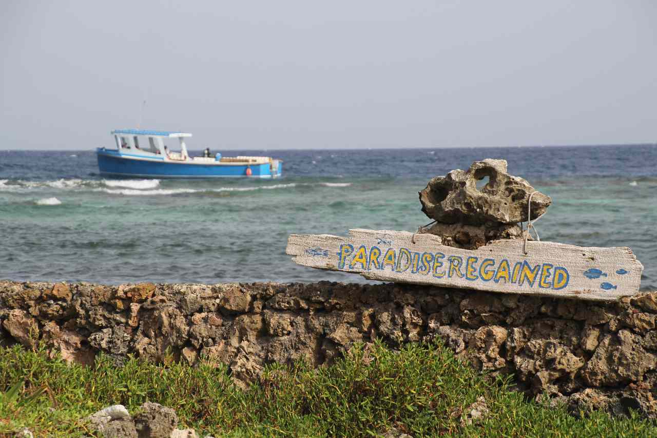 Belize Barrier Riff & Bay Islands – Das unterschätzte Tauchparadies in Honduras