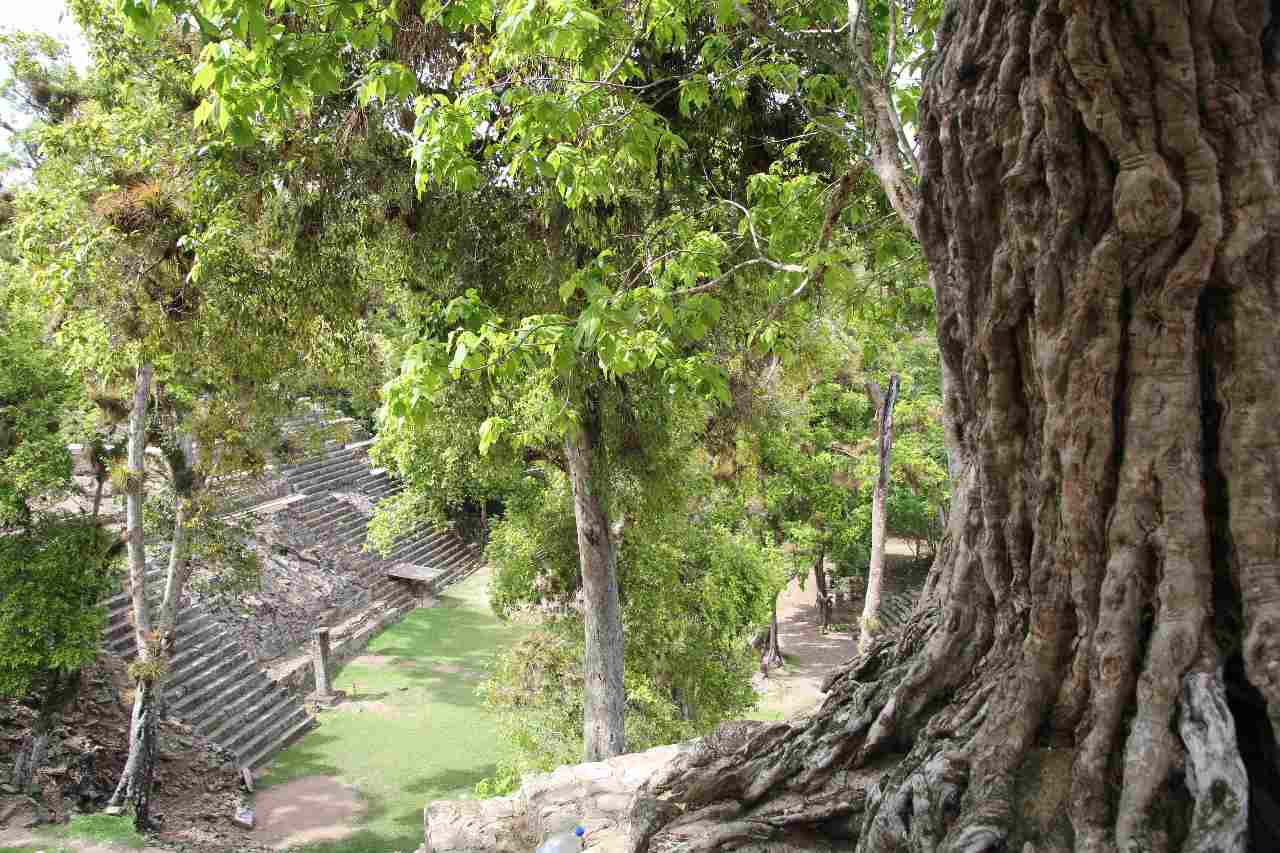 Die Ruinen von Copán – Honduras antiker Schatz