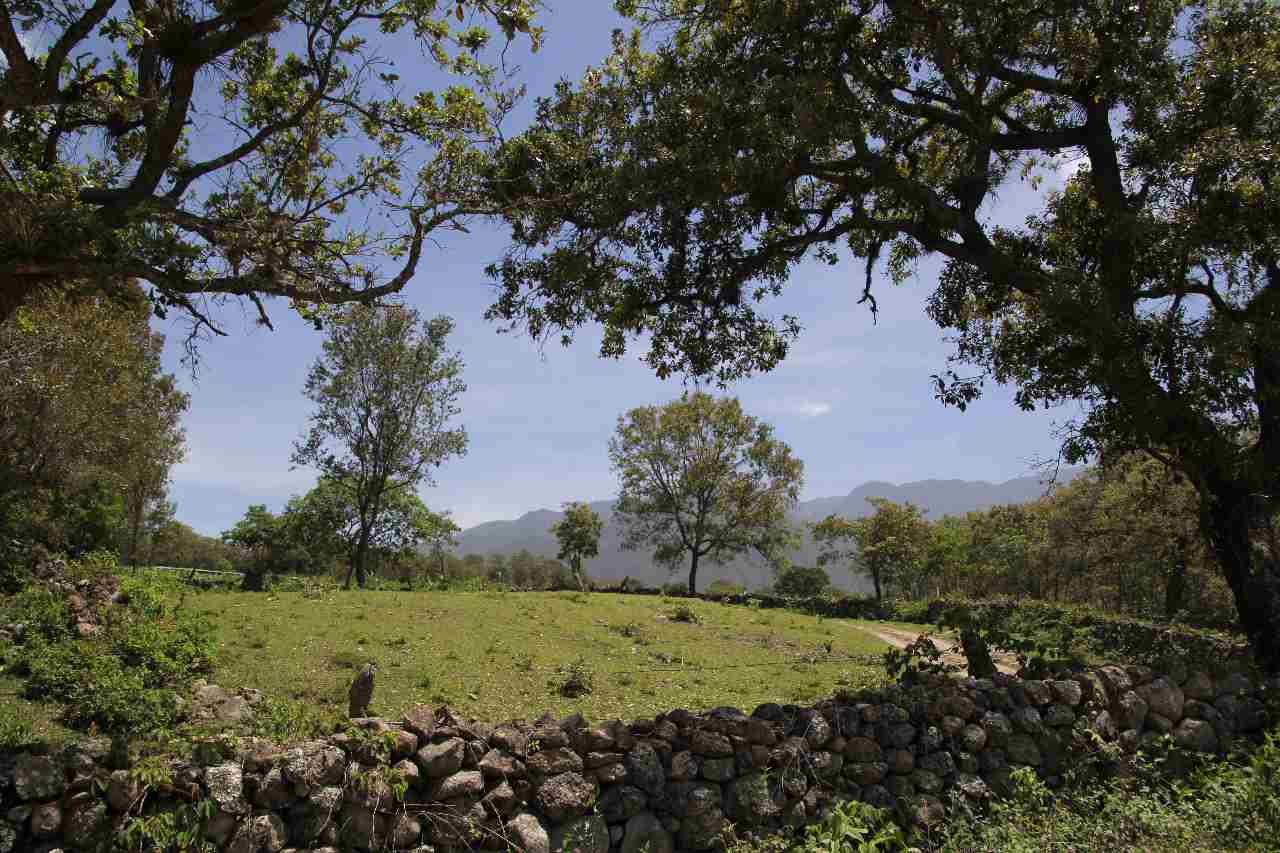 Empfehlung Honduras: Parque Nacional Celaque – Der beeindruckendste Nationalpark & warum sich ein Besuch für dich lohnt!